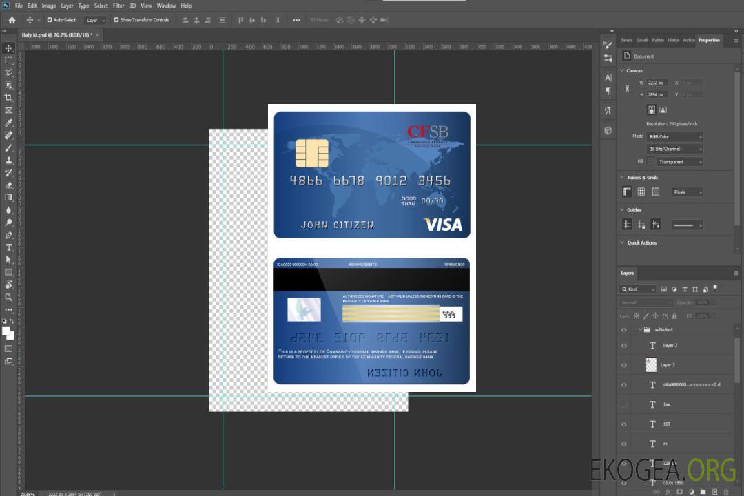 Carte visa de banque d'épargne fédérale communautaire des États-Unis template